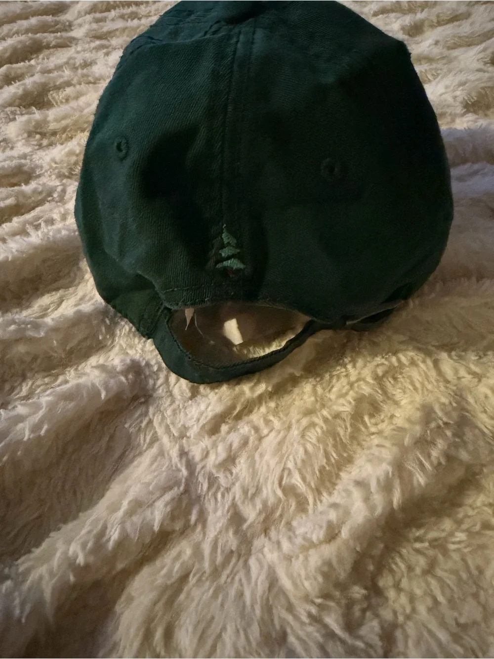 American Eagle Outfitters Dark Green Baseball Cap